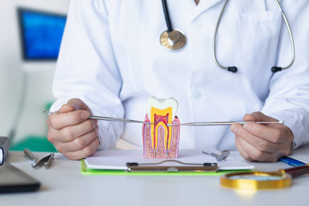 Best Emergency Root Canal Treatment in Horseshoe Bay, TX